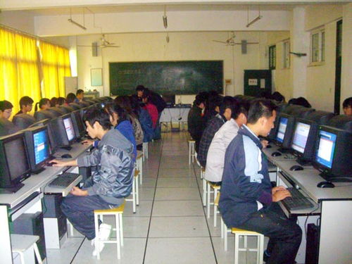 信息技术系成功举办计算机水平等级考试应试培训活动