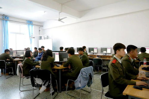 中港教育 计算机程序设计专业的技术培训体系与特色